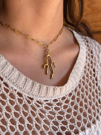 COLLIER CORAIL
